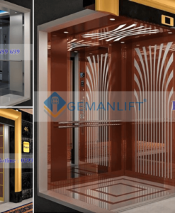 thang may geman 3 Thang máy gia đình Hưng Phát