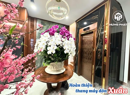 629343356 857050550497351 1466737066656916991 n Thang máy gia đình Hưng Phát